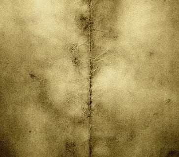 fons, frontera, marró, cremats, cremada, tela, brutícia, grunge, grungy, vell, pàgina, textura, brut, antiguitat, estil retro, ratllat, paper, tacat, patró, efecte texturat, cap gent, resum, arrugat, creativitat, resistent, història, mancat, fons abstractes, 1080P, CC0, domini públic, lliure de regalies