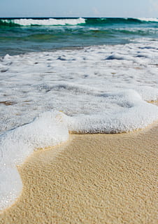 su kabarcıkları, hayvan, Deniz yaşamı, kilim, omurgasız, deniz kabuğu, köpük, burbujas, Blue Beach, cennet, güzel yerler, plaj, kabarcıklar, ayrıntılar, deniz tarağı, kum, doğa, açık havada, kabuklu bir deniz hayvanı, sünger hayvan, mızrap, deniz, arazi, Su, spor, hareket, su sporları, dalga, sörf yapmak, doğada güzellik, su üzerinde ufuk, manzaralar - doğa, ufuk, gökyüzü, gün, doğadaki güç, 2K, CC0, kamu malı, telif ücretsiz