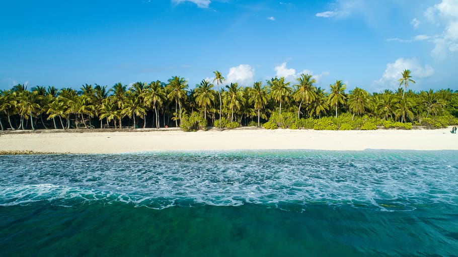 onades costaneres, terra, a l'aire lliure, naturalesa, oceà, mar, aigua, línia de costa, Costa, illa, fuvahmulah, maldives, platja, saafu point rd, tropical, atoll, navega, visitamaldives, turisme de maldives, estiu, vegetació, arbre, cel, planta, bellesa a la natura, escenics - natura, blau, clima tropical, escena tranquil·la, tranquil·litat, idíl·lic, dia, cap gent, núvol - cel, Palmera, davant del mar, color turquesa, palmera de coco, piscina, arbre tropical, 5K