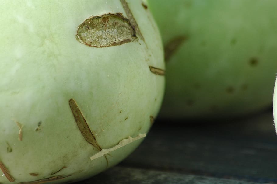 squash flaske, grøn, gård, mad og drikke, mad, sund kost, tæt på, frugt, ingen mennesker, velvære, grøn farve, fokus på forgrunden, stilleben, friskhed, kokosnød, dag, udendørs, træ - materiale, nød, selektiv fokusering, natur, gammel, møtrik - mad, moden, 2K