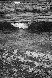 Kenya, bølger, strand, ocean, vand, weddingvibes, Mombasa, hav, bevægelse, bølge, sport, skønhed i naturen, vandsport, havnefronten, surfing, jord, natur, dag, scenics - natur, udendørs, ro, fuld ramme, fjern, flydende vand, 4K, CC0, offentligt domæne, royaltyfrie