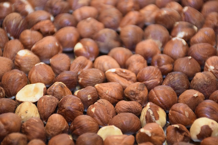 avellana, cacauet, nou, filbert, femella de cob, avellaner, marró, turc, saludable, menjar, proteïna, fruita, vegetarià, fruits secs, dolç, nutritiu, mercat, menjar i beguda, gran grup d'objectes, nou - aliments, frescor, abundància, benestar, marc complet, alimentació saludable, primer pla, fons, cap gent, natura morta, enfocament selectiu, a l'interior, noguera, venda al detall, berenar, visualització al detall, 5K