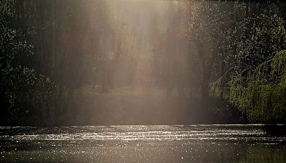 La luz del atardecer, lago, reflexión, puesta de sol, Abendstimmung, paisaje, reflejo, crepúsculo, agua, Dom, naturaleza, romance, luces, banco, ligero, arboles, romántico, árbol, bosque, tranquilidad, planta, belleza en la naturaleza, escena tranquila, paisajes - naturaleza, frente al mar, nadie, día, niebla, tierra, idílico, escena no urbana, luz del sol, al aire libre, brumoso, 4K, CC0, dominio público, libre de derechos