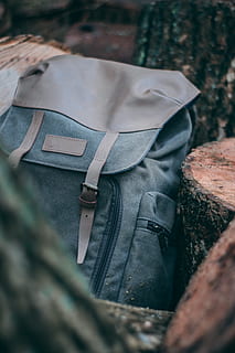 grigio, Marrone, zaino, Plön, deutschland, legna, telecamera, Borsa fotografica, holz, foresta, muschio, natura, albero, tiro, viaggio, primo piano, selvaggio, natura selvaggia, verde, inquadratura, capi di abbigliamento, messa a fuoco selettiva, giorno, avvicinamento, militare, una persona, uniforme militare, uniforme, all'aperto, persone reali, vista dall'alto, tessile, solido, governo, Borsa, moda, protezione, 4K, CC0, dominio pubblico, privo di copyright