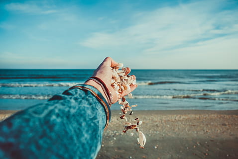 seashells, ocean, hand, shell, sand, beach, shore, sea, land, water, sky, human body part, horizon over water, horizon, human hand, one person, nature, real people, beauty in nature, body part, lifestyles, day, outdoors, finger, 2K, CC0, public domain, royalty free