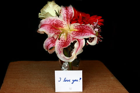 propuesta, proponer, Rosa, rojo, Fresco, fragancia, flor, planta floreciendo, planta, florero, adentro, naturaleza, frescura, fondo negro, belleza en la naturaleza, cabeza de flor, mesa, arreglo floral, fragilidad, inflorescencia, vulnerabilidad, ramo de flores, nadie, color rosa, texto, de cerca, racimo de flores, bandeja, 2K, CC0, dominio público, libre de derechos