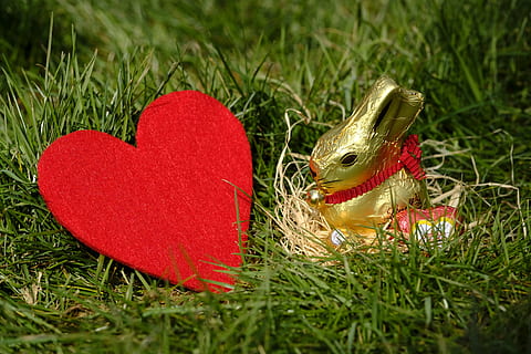 llebre, conill de Pasqua, Pasqua, figura, xocolata, amor, cor, afecte, herba, prat, pressa, mapa, osterkarte, vermell, planta, emoció positiva, forma del cor, color verd, emoció, celebració, naturalesa, enfocament selectiu, festa, primer pla, terra, dia, cap gent, camp, decoració, vacances - esdeveniment, dia de Sant Valentí: vacances, 5K, CC0, domini públic, lliure de regalies