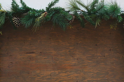 wood background, wth, festive, greenery photo, Christmas, Holidays, tree, plant, growth, no people, tropical climate, green color, palm tree, nature, wood - material, brown, leaf, indoors, wall - building feature, close-up, day, wood, backgrounds, plant part, copy space, wood grain, fir tree, palm leaf, 4K, CC0, public domain, royalty free