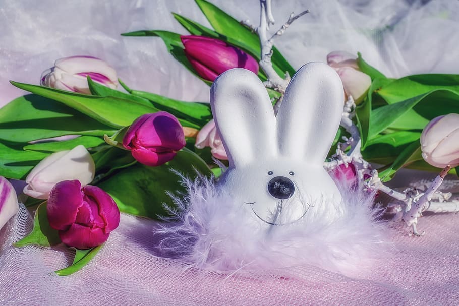 velikonoční zajíček, velikonoční, postava, zajíc, bílý, roztomilý, velikonoční dekorace, stolní dekorace, Velikonoční téma, deco-hase, Velikonoční pozdrav, jaro, rostlina, květ, kvetoucí rostlina, Příroda, zastoupení, růžová barva, zastoupení zvířat, detail, oslava, nikdo, uvnitř, umění a řemesla, bílá barva, krása v přírodě, zranitelnost, stálý život, králík - zvíře, měkkost, nachový, květu hlavy, 4K