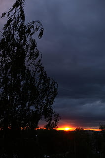 sfondo, blu, nube, Cloudscape, buio, alba, drammatico, crepuscolo, etereo, lunatico, mattina, notte, nessuno, arancia, a distanza, scena, cielo, tempesta, stratosfera, estate, raggio di sole, luce del sole, , tramonto, vista, giallo, nuvola - cielo, albero, bellezza nella natura, natura, scenics - natura, pianta, la tranquillità, silhouette, scena tranquilla, colore arancione, all'aperto, idilliaco, scena non urbana, Inquadratura dal basso, cielo drammatico, potere in natura, 4K, CC0, dominio pubblico, privo di copyright