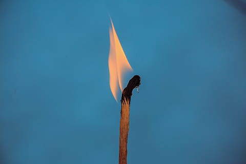 meca encès de vela, foc, cremant, flama, blau, naturalesa, foc - fenomen natural, cap gent, calor - temperatura, còpia espai, material de fusta, color taronja, moviment, dia, a l'aire lliure, brillant, cel, cel clar, il·luminat, un animal, animals a la natura, matchstick, fons blau, 5K, CC0, domini públic, lliure de regalies