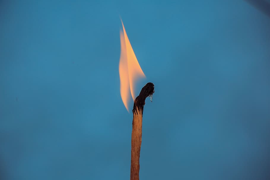 meca encès de vela, foc, cremant, flama, blau, naturalesa, foc - fenomen natural, cap gent, calor - temperatura, còpia espai, material de fusta, color taronja, moviment, dia, a l'aire lliure, brillant, cel, cel clar, il·luminat, un animal, animals a la natura, matchstick, fons blau, 5K