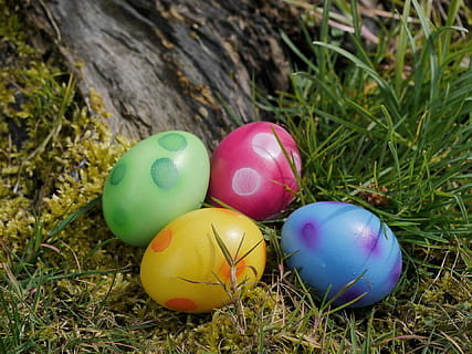 Ostern, Ostereier, Ei, Farbe, bunt, Ostertradition, Frühling, Frühlingsfestival, Natur, Wiese, eilen, Baumwurzeln, Jahreszeit, Gelb, Rosa, Blau, Osterei, Feier, mehrfarbig, Urlaub, Lebensmittel, Gras, Pflanze, Nahansicht, keine Leute, grüne Farbe, Stillleben, Essen und Trinken, Tag, High Angle View, Land, draußen, 1080P, CC0, gemeinfrei, lizenzfrei