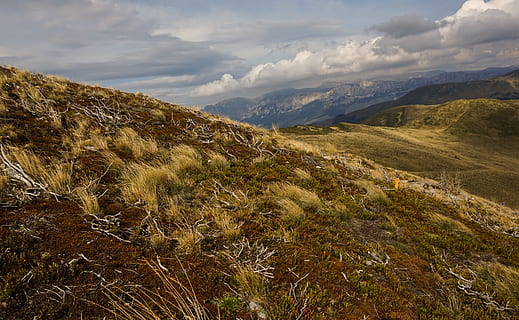 landscape photography, steppe, mountain ranges, clouds, daylight, grass, landscape, mountain range, mountains, nature, rocks, scenery, scenic, sky, cloud - sky, beauty in nature, mountain, tranquility, tranquil scene, scenics - nature, plant, environment, non-urban scene, no people, growth, day, idyllic, remote, land, outdoors, 4K, CC0, public domain, royalty free
