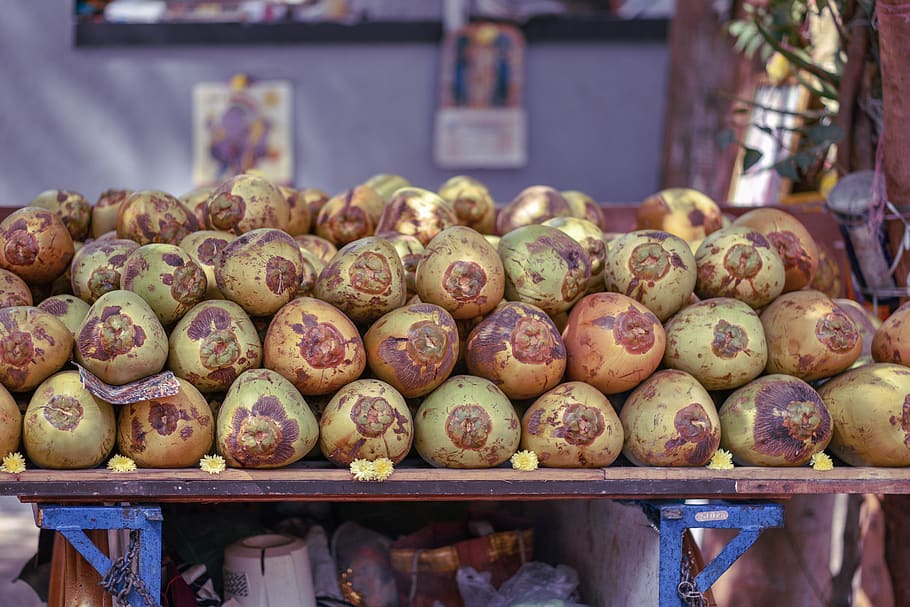 frutti di cocco, pianta, produrre, cibo, verdura, rapa, figurina, rapa svedese, fiorire, geranio, fiore, negozio, mensola, turchese, negozio di alimentari, accessorio, perlina, Accessori, tintura, Patata, mercato, cibo e bevande, freschezza, grande gruppo di oggetti, Al dettaglio, in vendita, bancarella, mangiare sano, abbondanza, benessere, giorno, concentrarsi sulle conoscenze acquisite, attività commerciale, nessuno, piccola impresa, frutta, esposizione al dettaglio, natura morta, saldi, all'aperto, maturo, 5K
