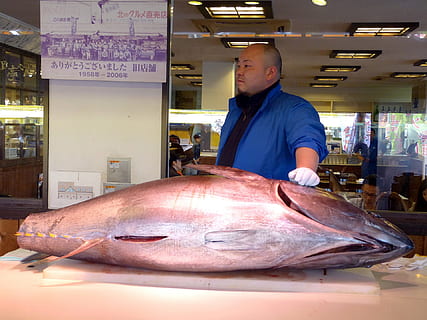 Fisch, Scheibe, geschnitten, Lebensmittel, Restaurant, Mensch, Aktivität, Job, Arbeit, Arbeitnehmer, eine Person, echte Menschen, Männer, Legere Kleidung, Verkauf, Wirbeltier, Essen und Trinken, drinnen, zu verkaufen, Geschäft, Besetzung, Vorderansicht, Männer mittleren Alters, junge Männer, Konsumismus, 1080P, CC0, gemeinfrei, lizenzfrei