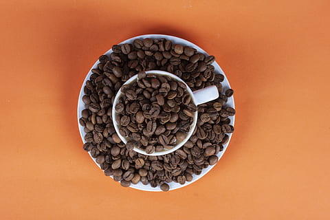 Kaffeebohnen, Tasse, Koffein, Nahansicht, Kaffee, Kaffeetasse, Farbe, Tasse Kaffee, dunkel, Lebensmittel, von oben, voll, orange Hintergrund, geröstet, geröstete Kaffeebohnen, Stillleben, Textur, farbiger Hintergrund, Studioaufnahme, drinnen, direkt darüber, keine Leute, Essen und Trinken, Muster, Kreis, Geometrische Figur, Kreativität, orange Farbe, High Angle View, große gruppe von gegenständen, ausgeschnitten, gestalten, Rohkost, Blumenmuster, 2K, CC0, gemeinfrei, lizenzfrei