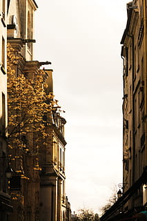 Franţa, Paris, arhitectură, exteriorul clădirii, construită, cer, clădire, vedere unghiulară joasă, zi, oraș, natură, nici o persoana, istorie, trecutul, în aer liber, religie, lăcaș de cult, spiritualitate, cer senin, credință, 5K, CC0, domeniu public, fără drepturi de autor