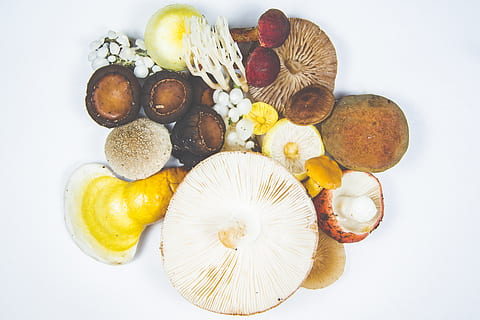 bucate fierte, alimente, mancare si bautura, mâncat sănătos, bunăstare, fruct, prospeţime, fundal alb, în interior, direct deasupra, studio shot, nici o persoana, alegere, variație, natură moartă, vedere în unghi mare, kiwi, vegetal, condiment, ingredient, felie, 4K, CC0, domeniu public, fără drepturi de autor
