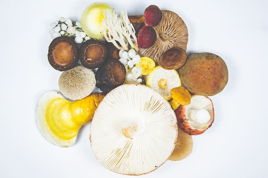 bucate fierte, alimente, mancare si bautura, mâncat sănătos, bunăstare, fruct, prospeţime, fundal alb, în interior, direct deasupra, studio shot, nici o persoana, alegere, variație, natură moartă, vedere în unghi mare, kiwi, vegetal, condiment, ingredient, felie, 4K