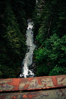 แม่น้ำระหว่างป่า, น้ำ, แม่น้ำ, กลางแจ้ง, ป่า, กระแส, ธรรมชาติ, ต้นไม้, น้ำตก, ความเป็นป่า, ไหล, ป่าไม้, สะพาน, ถนนลูกรัง, ถนน, กรวด, สีเขียว, สายอากาศ, มองลง, ที่ไหล, WOD, ปลูก, การเคลื่อนไหว, ไม่มีคน, ความงามในธรรมชาติ, การเจริญเติบโต, น้ำไหล, วัน, ที่ดิน, Scenics - ธรรมชาติ, การเปิดรับแสงนาน, มุมมองมุมสูง, ใบไม้, พลังในธรรมชาติ, ป่าฝน, มลพิษ, 5K, CC0, โดเมนสาธารณะ, ค่าลิขสิทธิ์ฟรี