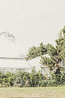 costruzione, architettura, cupola, albero, planetario, toronto, giardini allan, Canada, conifera, giardino, erba, pianta, struttura, sempreverde, cespuglio, vegetazione, osservatorio, abies, abete, Torre, struttura costruita, esterno dell'edificio, nessuno, cielo, natura, giorno, crescita, all'aperto, cielo sereno, destinazioni di viaggio, colore verde, storia, terra, luogo di culto, luce del sole, 4K, CC0, dominio pubblico, privo di copyright