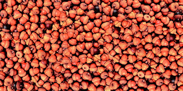 fruit, oak, background, texture, nature, full frame, backgrounds, food and drink, food, healthy eating, large group of objects, abundance, wellbeing, freshness, market, for sale, retail, vegetable, red, still life, repetition, market stall, no people, root vegetable, sale, retail display, consumerism, 1080P, CC0, public domain, royalty free