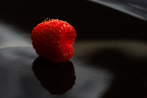 fotografi jarak dekat, merah, cranberi, hitam, permukaan, buah, frambos, merapatkan, tidak ada orang, dalam ruangan, makanan, makan sehat, kesegaran, makanan dan minuman, refleksi, latar belakang hitam, kesejahteraan, keindahan di alam, tembakan studio, bunga, objek tunggal, hewan, alam, tema binatang, buah berry, matang, 2K, CC0, domain publik, bebas royalti