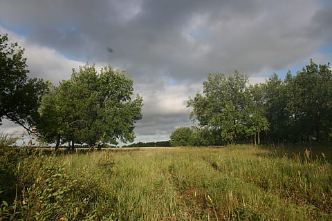 alan, arka fon, bulut, cloudscape, bulutlu, karanlık, ilçe, donuk, çimen, yeşil, arazi, peyzaj, çayır, doğa, açık havada, bitki, yol, kırsal, faliyet alani, sahne, scenics, sezon, Sessizlik, gökyüzü, bahar, yaz, sakin, seyahat, ağaç, görünüm, ahşap, bulut - gökyüzü, büyüme, doğada güzellik, huzur, çevre, yeşil renk, sakin sahne, manzaralar - doğa, insansız, kentsel olmayan sahne, gün, 4K, CC0, kamu malı, telif ücretsiz