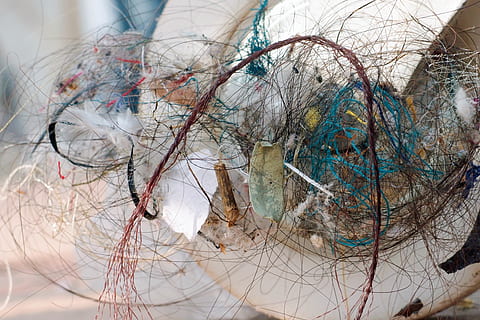 Índia, agra, muntatge, embolic, primer pla, arbre nu, multicolor, arbre, cap gent, complexitat, dia, branca, enredat, a l'aire lliure, centrar-se en primer pla, patró, naturalesa, reflexió, art i artesania, creativitat, desordenat, compost digital, gargots, 2K, CC0, domini públic, lliure de regalies