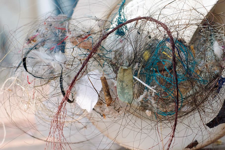 Índia, agra, muntatge, embolic, primer pla, arbre nu, multicolor, arbre, cap gent, complexitat, dia, branca, enredat, a l'aire lliure, centrar-se en primer pla, patró, naturalesa, reflexió, art i artesania, creativitat, desordenat, compost digital, gargots, 2K