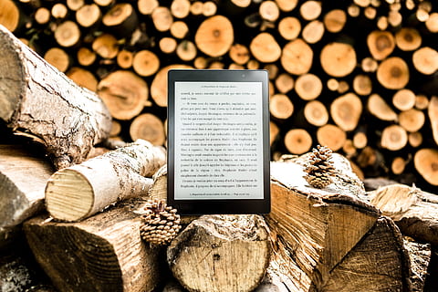 arbre, les journaux, bois, hiver, tomber, Liseuse, livre, lis, cheminée, écorce, livre électronique, Kobo, tablette, numérique, saison, rustique, en train de lire, bûche, bois - matériau, bois de chauffage, industrie du bois, empiler, la déforestation, grand groupe d'objets, personne, forêt, fermer, la communication, la nature, se concentrer sur le premier plan, arrière-plans, abondance, en plein air, 2K, CC0, domaine public, libre de droits
