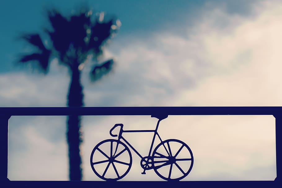 silueta, bicicleta fixa, bicicleta, primer pla, núvols, ennuvolat, colors, medi ambient, hora daurada, gràfic, Palmera, paisatge, escènic, cel, arbre, núvol - cel, naturalesa, planta, transport, cap gent, a l'aire lliure, bellesa a la natura, roda, dia, escenics - natura, escena tranquil·la, manera de transport, vehicle terrestre, núvol, tranquil·litat, 5K