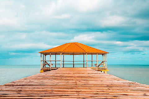 Seadog, klar, blå, himmel, strand, eksotisk, idyllisk, fritid, ocean, orange, sti, lempelse, udvej, naturskøn, hav, kysten, sommer, ferie, vand, træ, træ-, sky - himmel, arkitektur, bygget struktur, skønhed i naturen, scenics - natur, horisont over vand, jord, rolig scene, træ - materiale, ro, horisont, natur, havepavillon, ingen mennesker, udendørs, 5K, CC0, offentligt domæne, royaltyfrie