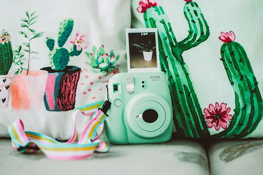 verd, instax, mini, 8, instantani, càmera, cactus, planta, imprès, tèxtils, brillant, primer pla, colors, sofà, disseny, a l'interior, fotografia, natura morta, color verd, cap gent, taula, creativitat, tecnologia, temes de fotografia, nostàlgia, càmera - equip fotogràfic, color rosa, motiu floral, representació animal, patró, representació, art i artesania, multicolor, interior de casa, 5K