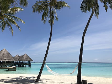 keliru, air, laut, langit, pohon, pohon palem, iklim tropis, pantai, tanah, atap jerami, alam, atap, scenics - alam, keindahan di alam, Arsitektur, biru, struktur yang dibangun, menanam, adegan yang tenang, cakrawala di atas air, tidak ada orang, di luar rumah, berwarna pirus, pohon kelapa, 4K, CC0, domain publik, bebas royalti