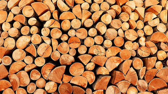 fusta, calefacció, pila, apilats, textura, tassa, emmagatzematge, arbre, calor, gran grup d'objectes, registre, marc complet, fons, indústria de la fusta, llenya, abundància, material de fusta, desforestació, bosc, generació de combustible i energia, cap gent, patró, Munt, combustibles fòssils, qüestions ambientals, pila de fusta, a l'aire lliure, 4K, CC0, domini públic, lliure de regalies