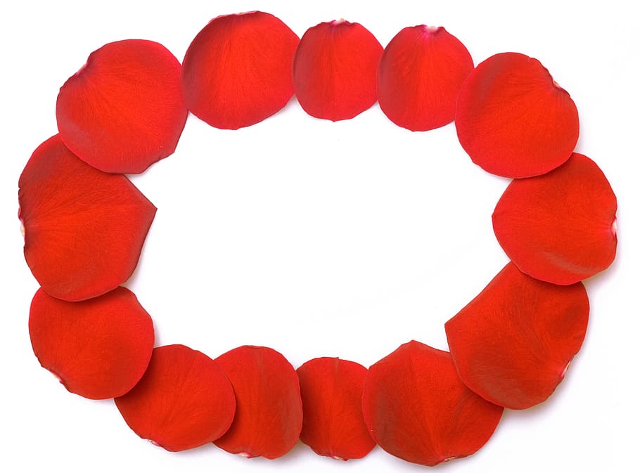 con2011, rosa, pètals, vermell, fons blanc, tallar, còpia espai, cap gent, tir de l'estudi, fons, marc, símbol, emoció positiva, Color blanc, paper, patró, amor, resum, buit, textura, grup, primer pla, en blanc, trencament, 2K