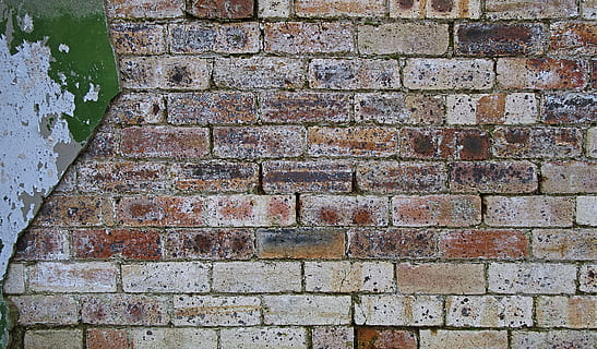 brick, wall, walkway, path, staircase, stone wall, pavement, sidewalk, cobblestone, plant, algae, moss, texture, mammal, animal, pet, canine, bulldog, dog, vehicle, built structure, architecture, brick wall, wall - building feature, no people, pattern, textured, full frame, day, backgrounds, outdoors, solid, stone material, rough, weathered, old, footpath, stone, paving stone, concrete, 4K, CC0, public domain, royalty free