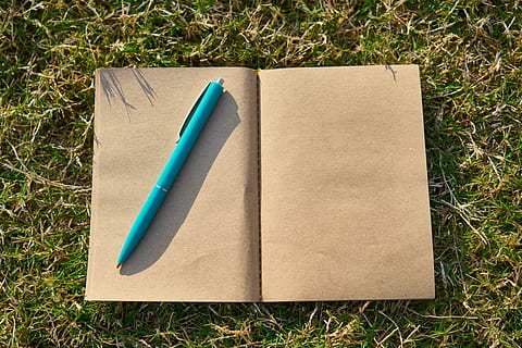 notesbog, arbejdet, arbejde, pen, at skrive, digter, Læs, Rute, klassisk, er tom, ide, udtalelser, kreativitet, scenarie, kontor, undersøgelse, teknologi, forfatter, genstand, Start, iværksætter, kontrakt, strategi, møde, planlægning, offentliggørelse, papir, Bestil, høj vinkel visning, græs, ingen mennesker, tæt på, direkte over, plante, natur, dagbog, stilleben, Mark, uddannelse, side, jord, grøn farve, åben, meddelelse, blank, 5K, CC0, offentligt domæne, royaltyfrie