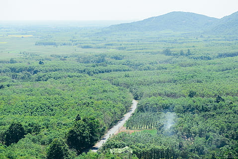 carretera, verd, arbre, pi, vietnam, da lat, moutain, cel, planta, escenics - natura, color verd, medi ambient, paisatge, escena tranquil·la, bellesa a la natura, tranquil·litat, terra, naturalesa, creixement, cap gent, dia, fullatge, vista d’angle alt, exuberant fullatge, escena no urbana, muntanya, idíl·lic, a l'aire lliure, aigua que flueix, 2K, CC0, domini públic, lliure de regalies
