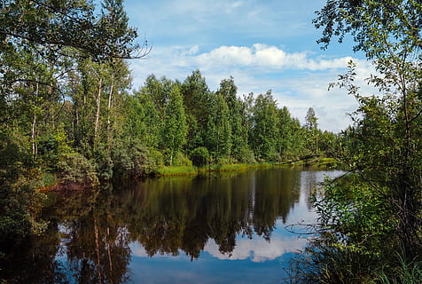 zomer, achtergrond, bomen, dag, lopen, schoonheid, groen, rivier-, landschap, natuur, vijver, dorp, landelijk, boom, fabriek, reflectie, water, schoonheid in de natuur, kalmte, meer, hemel, rustige scène, scenics - natuur, groei, wolk - lucht, groene kleur, geen mensen, niet-stedelijke scène, Bos, idyllisch, buitenshuis, 4K, CC0, publiek domein, royaltyvrij