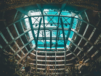 šedá kovová konstrukce, budova, architektura, okno, střešní okno, koule, kancelářská budova, apsida, klenutý, oblouk, strop klenby, kostel, oltář, pyramida, spirála, světlice, světlo, maják, střecha, kongresové centrum, podlaha, stavba, nízký úhel pohledu, den, nikdo, uvnitř, vzor, Příroda, slunečního světla, destinace, moderní, cestovat, strop, sklo - materiál, strom, rostlina, průhledný, 4K, CC0, veřejná doména, bez autorských práv