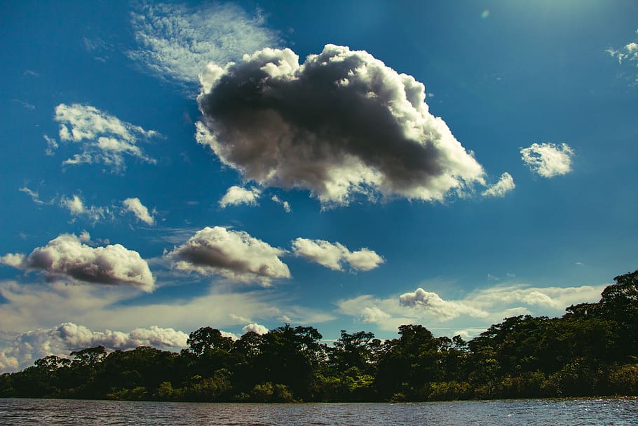 Perù, Pucallpa, cielo, nuvole, lago, Amazonas, selva, Yarinacocha, giungla, selvaggio, natura, giorno, luce del giorno, paesaggio, alberi, nuvola - cielo, acqua, bellezza nella natura, scenics - natura, scena tranquilla, albero, la tranquillità, nessuno, pianta, mare, scena non urbana, blu, all'aperto, idilliaco, terra, luce del sole, 5K