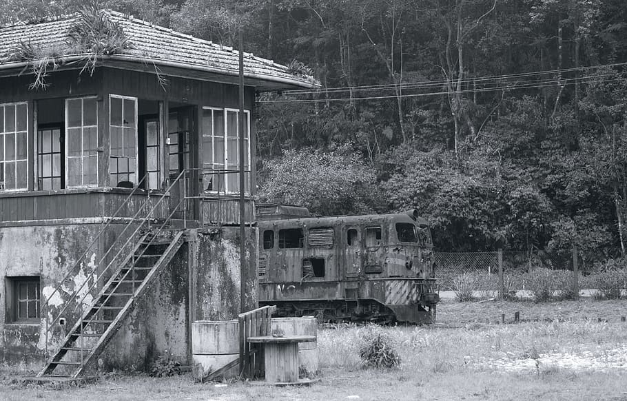 paisatge, tren, vell, tren trencat, entrenar oxidat, naturalesa, viatjar, transport, locomotora, pistes, base, fons de pantalla, blanc i negre, negre, blanc, contrast, paranapiacaba, Sao Paulo, Brasil, publicació, estació, tren antic, jungla, abandonat, planta, arquitectura, arbre, manera de transport, obsoleta, estructura construïda, exterior de l'edifici, transport per ferrocarril, terra, dia, cap gent, tren - vehicle, aixafar, espatllat, transport públic, deteriorament, a l'aire lliure, pista, arruïnat, 5K
