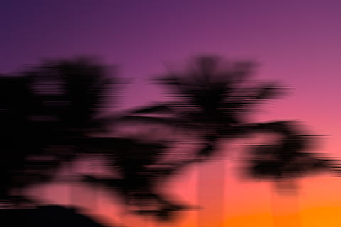, movimento sfocato, movimento, viola, silhouette, defocused, surreale, astratto, nessuno, colore rosa, creatività, colore nero, vitalità, emozione, ombra, notte, buio, natura, spaventoso, focalizzazione morbida, concentrarsi sull'ombra, senza speranza, 5K, CC0, dominio pubblico, privo di copyright
