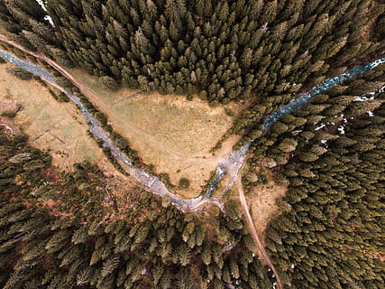 apă, pini, abstract, aerian, artă, vederea păsărilor, culoare, conifer, lumina zilei, trântor, mediu inconjurator, vesnic verde, pădure, verde, creştere, peisaj, cu toane, natură, în aer liber, model, pin, râu, drum, decor, pitoresc, copaci, nici o persoana, zi, frumusețe în natură, plantă, copac, liniște, cadru complet, vedere în unghi mare, a închide, scenice - natura, Culoarea verde, o scenă liniștită, texturată, scenă non-urbană, 4K, CC0, domeniu public, fără drepturi de autor