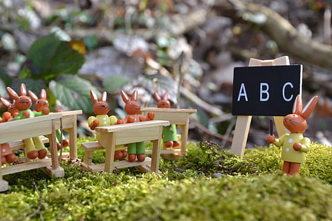 Ostern, Osterhase, Hase, Frühling, süß, Deko, Osterthema, Osterdekoration, Süss, Osterhasenschule, Schule, ABC, Wald, Moos, Grün, Pflanze, selektiver Fokus, Gras, Tag, Natur, Text, keine Leute, westliche Schrift, Lebensmittel, Kommunikation, draußen, Frische, Feld, Land, Holz - Material, große gruppe von gegenständen, gesundes Essen, Essen und Trinken, Zeichen, Nahansicht, 4K, CC0, gemeinfrei, lizenzfrei