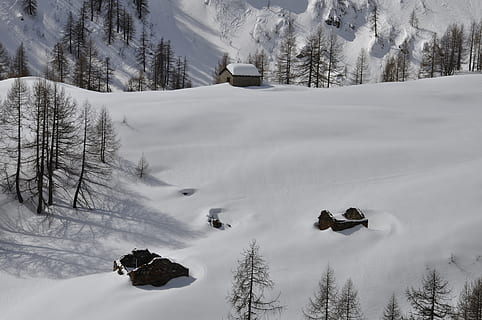 Schnee, kalt, Berg, Frühling, Natur, Landschaft, Italien, Bäume, Winter, kalte Temperatur, Baum, Szenen - Natur, Schönheit in der Natur, Pflanze, Abdeckung, Ruhe, ruhige Szene, weiße Farbe, Land, Tag, Umgebung, Skifahren, Sport, schneebedeckter Berg, Kiefer, 4K, CC0, gemeinfrei, lizenzfrei