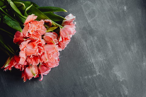 colorful, flowers, grey, background, copy space, bloom, floral, blossom, bouquet, colors, copy paste, bouqet, freshness, flower, plant, flowering plant, no people, beauty in nature, close-up, fragility, indoors, vulnerability, nature, petal, seafood, food, red, high angle view, food and drink, flower head, day, black background, 4K, CC0, public domain, royalty free
